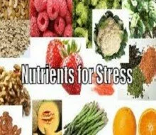 STRESS-FIGHTING NUTRIENTS