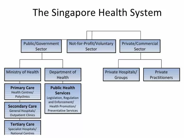 What is the health care system like in Mexico?