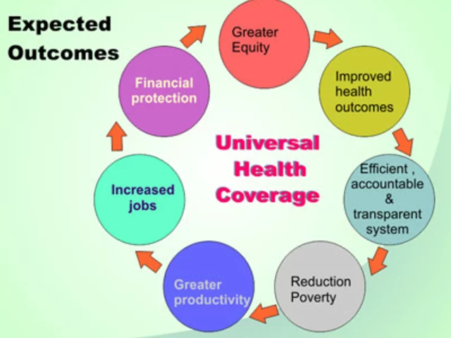 Why is universal health care a bad idea?