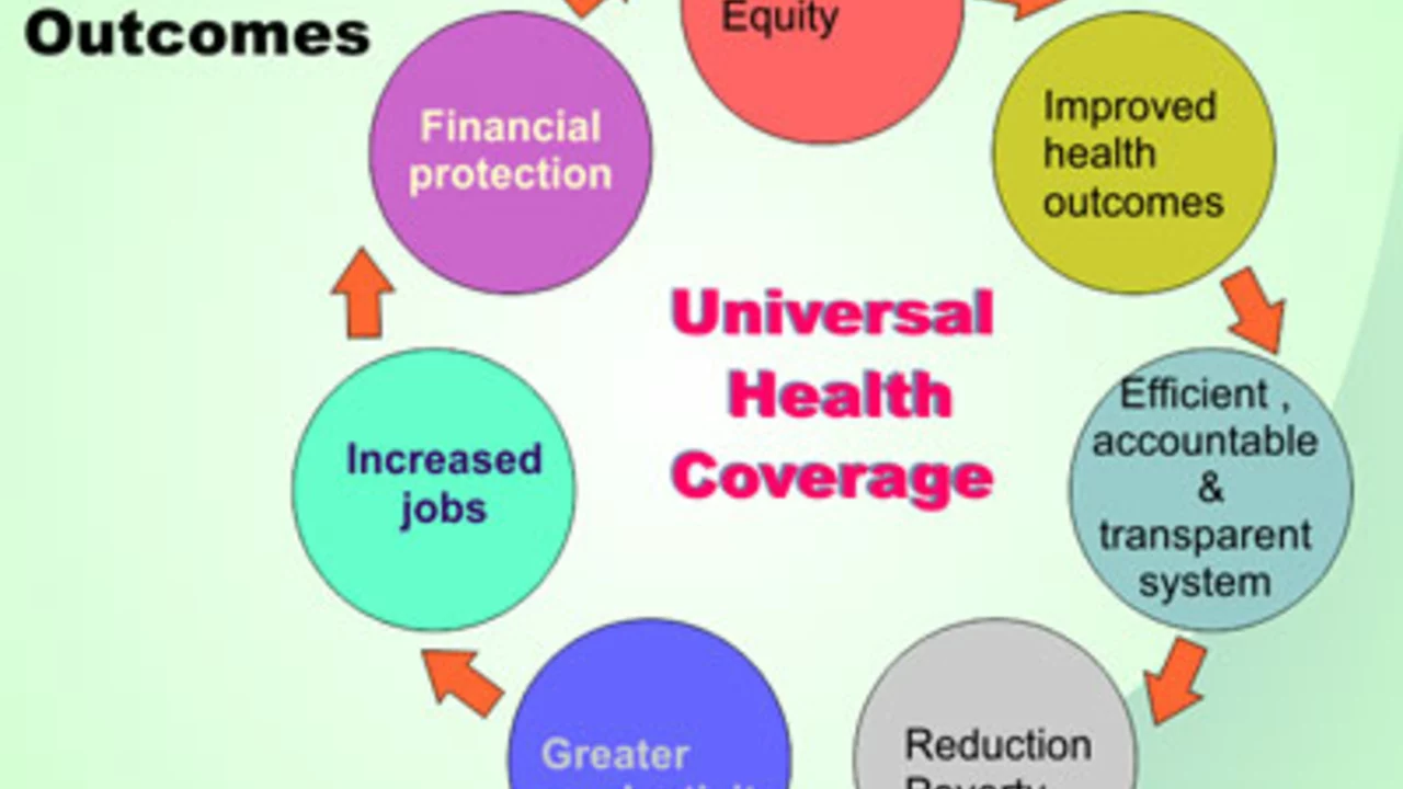 Why is universal health care a bad idea?