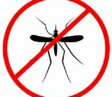 Malaria: End in sight as WHO sets to approve 1st human vaccine