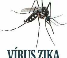 Vaccine for Zika virus infection still far away—US scientists.