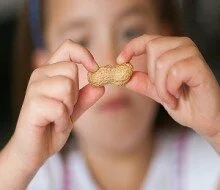 Oral immunotherapy effective for peanut-allergic kids