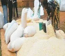 Aflatoxins Affect African Food Exports, Experts Say