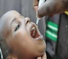 Yobe Govt Establishes Polio Response Centers in Border Communities