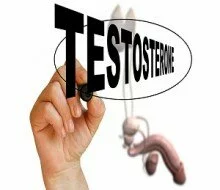 Increased level of testosterone affects behaviour in men