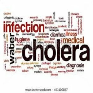 Nigeria: Cholera outbreak- Abuja Records Seven Deaths in Four Communities - Official