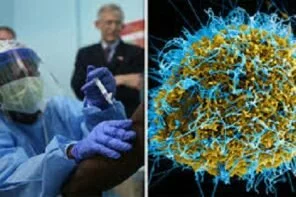 Sierra Leone: New Ebola Virus Strain Found in Sierra Leone