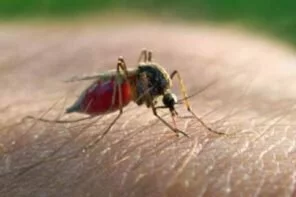 Tanzania: New Chinese Technique ‘Can Cut Malaria by Over 80%’