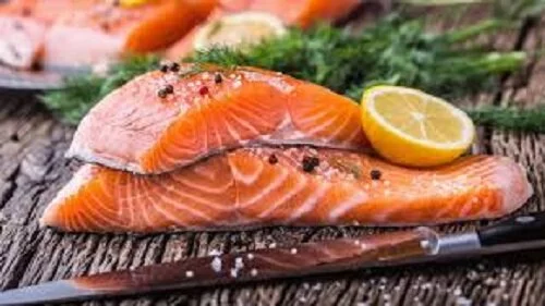  Trial to test if GM fed salmon are more nutritious